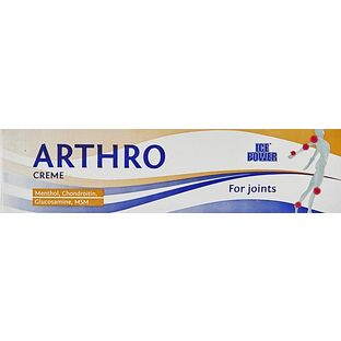 Ice Power Arthro Creme 60GR Ice Power Arthro Creme 60GR