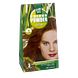 Hennaplus Colour Powder 51 Hazelnut 100GR