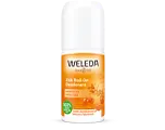 Weleda 24h Roll-On Duindoorn Deodorant 50ML Weleda 24h Roll-On Duindoorn Deodorant 50ML