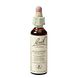 Bach Flower Remedies Hardbloem 28 20ML