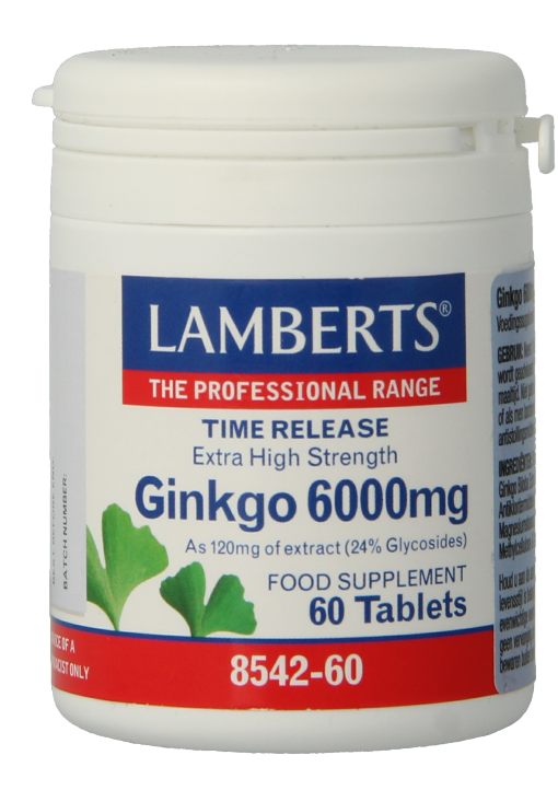 Lamberts Ginkgo 6000mg Time Release Tabletten 60TB