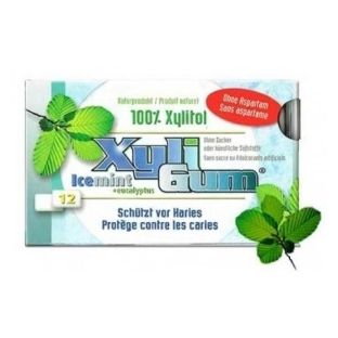 Xyligum Kauwgom Icemint 12ST