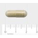 AOV 833 Vitex Agnus Castus Vegacaps 60VCP Afmeting capsule AOV 833 Vitex Agnus Castus Vegacaps 60VCP Afmeting capsule