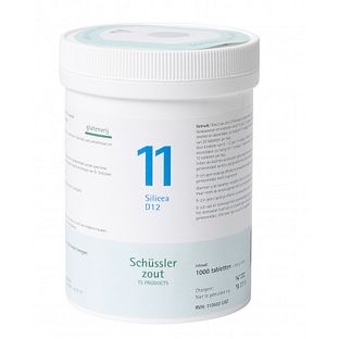 Pfluger Celzout 11 Silicea Tabletten 1000TB