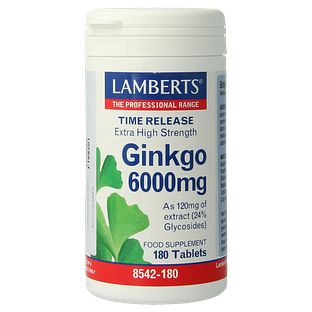 Lamberts Ginkgo 6000mg Time Release Tabletten 180TB