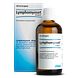 Heel Lymphomyosot Druppels 100ML Heel Lymphomyosot Druppels 100ML