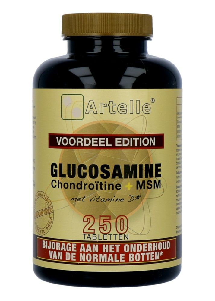 Artelle Gluco Chondro MSM Tabletten 250TB