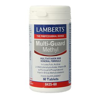 Lamberts Multi-Guard Methyl Tabletten 60TB