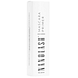 Nanolash Mascara Primer 10ML