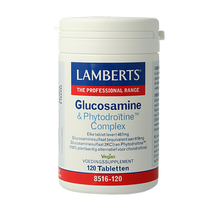 Lamberts Glucosamine en Phytodroïtine Complex Tabletten 120TB