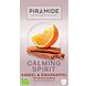 Piramide Calming Spirit Kaneel & Sinaasappel Thee 20ZK Piramide Calming Spirit Kaneel & Sinaasappel Thee 20ZK