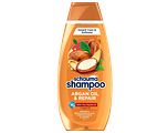 Schauma Shampoo Arganolie & Repair 400ML