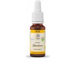 Lemon Pharma Bach NO.12 Gentian 20ML Lemon Pharma Bach NO.12 Gentian 20ML