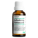 Heel Belladonna-Homaccord 30ML