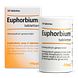 Heel Euphorbium Compositum Tabletten 50TB Heel Euphorbium Compositum Tabletten 50TB