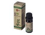 Aromed Olie Salie Bio 10ML
