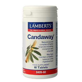 Lamberts Candaway Tabletten 60TB