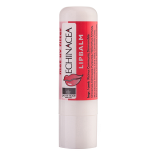 Jacob Hooy Lippenbalsem Echinacea 1ST