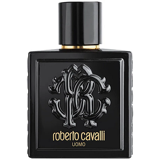 Roberto Cavalli Uomo Eau de Toilette 100ML