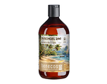 Benecos Bio 2-in-1 Douchegel Lime & Coconut 500ML