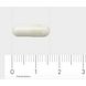 Orthica Foliumzuur 400 Capsules 90VCP Afmeting capsule Orthica Foliumzuur 400 Capsules 90VCP Afmeting capsule