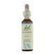 Bach Flower Remedies Bronwater 27 20ML