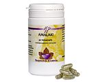 Holisan Amalaki Capsules 60CP