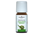 Jacob Hooy Essentiële Olie Eucalyptus Radiata 10ML