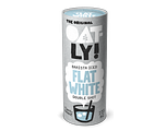Oatly Barista Iced Flat White Double Shot 235ML