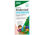 Salus Floradix Kindervital 250ML