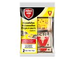 Protect Home Muizenvallen 2ST