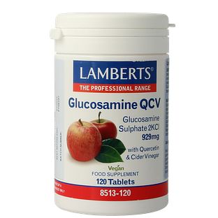 Lamberts Glucosamine QCV Tabletten 120TB