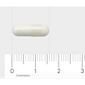 Orthica Foliumzuur 400 Capsules 90VCP Afmeting capsule
