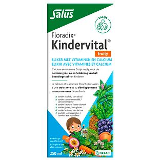 Salus Floradix Kindervital Fruity 250ML