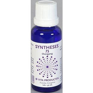 Vita Producten Vita Syntheses 75 Overgang 30ML