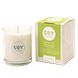 Soylites Soycandle Energise - Peppermint, Spearmint, Geranium & Ginger 70ML Energise Geurkaars met verpakking