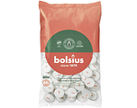 Bolsius Theelicht Wit 6 Uur 60ST