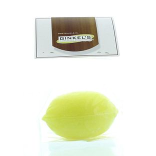Ginkel's Ossengalzeep Citroen 90GR Ginkel's Ossengalzeep Citroen 90GR