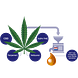 Vitakruid CBD Olie 5% full spectrum met MCT als drager 10ML Sfeerbeeld Vitakruid CBD Olie 5% full spectrum met MCT als drager 10ML Sfeerbeeld