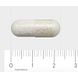 AOV 607 L- Lysine HCl 500mg Vegacaps 90VCP Afmeting vegacaps
