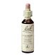 Bach Flower Remedies Haagbeuk 17 20ML Bach Flower Remedies Haagbeuk 17 20ML