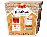 Treaclemoon Spiced Gingerbread Biscuit Treats Giftbox 1ST