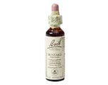 Bach Flower Remedies Herik 21 20ML