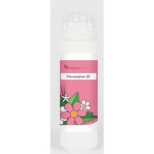 Balance Pharma Flowerplex 29 Nieuwe Richting 6GR Balance Pharma Flowerplex 29 Nieuwe Richting 6GR