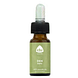 Chi Natural Life Latschenkiefer / Den Berg Etherische Olie Wild 10ML flesje
