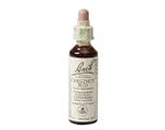Bach Flower Remedies Kastanjeknop 07 20ML Bach Flower Remedies Kastanjeknop 07 20ML