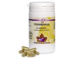 Holisan Punarnava Capsules 60CP Holisan Punarnava Capsules 60CP