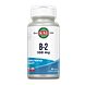 Kal Vit B2 Riboflavin 100mg Tabletten 60TB Kal Vit B2 Riboflavin 100mg Tabletten 60TB