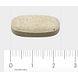 Orthica C-1000 Tabletten 90TB