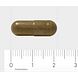 Orthica Ginkgo Capsules 30VCP Afmeting capsule